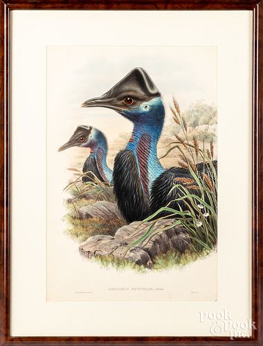 TWO COLOR BIRD LITHOGRAPHSTwo color