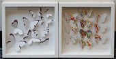 TWO DECORATED BUTTERFLY CUT-OU