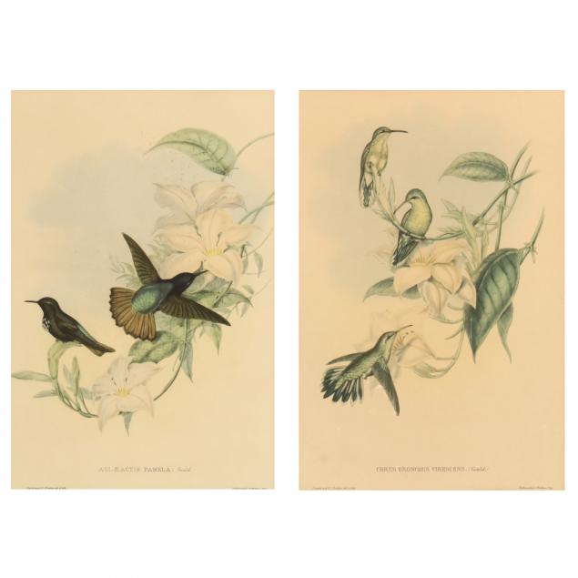 TWO DECORATIVE PRINTS AFTER GOULD &