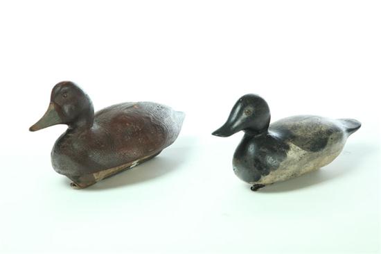 TWO DECOYS.  American  1st
