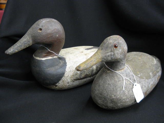 Two Decoys one is a blue wing