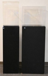 TWO DISPLAY CASESTwo Display C