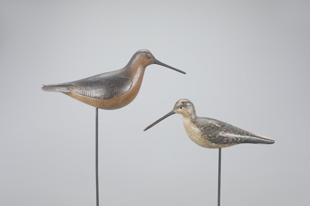 TWO DROP-WING DOWITCHERMark S.