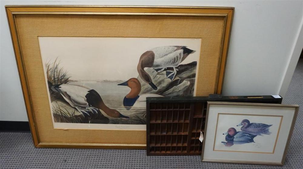 TWO DUCK PRINTS, AFTER AUDUBON