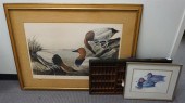 TWO DUCK PRINTS, AFTER AUDUBON