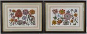TWO EARLY FRAMED FLORAL ENGRAV