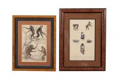 TWO EARLY PRIMATE ETCHINGSTWO