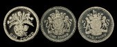 Two Elizabeth II 1983 silver P