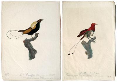 Two engravings after J.
