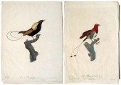 Two engravings after J. Barrab