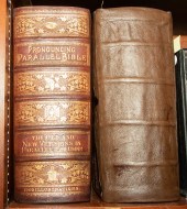 TWO FAMILY BIBLES PRONOUNCING