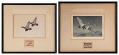 TWO FEDERAL DUCK STAMP PRINTS