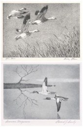 Two Federal duck stamp prints