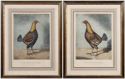 Two fighting cock engravings: