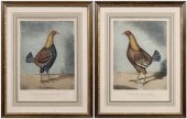 Two fighting cock engravings: