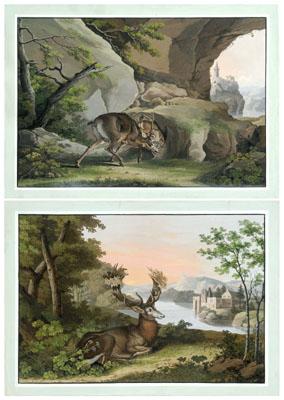 Two fine Josef Riefs gouaches: stag