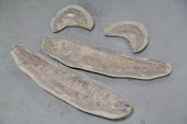 TWO FISH FOSSILS.  Most likely