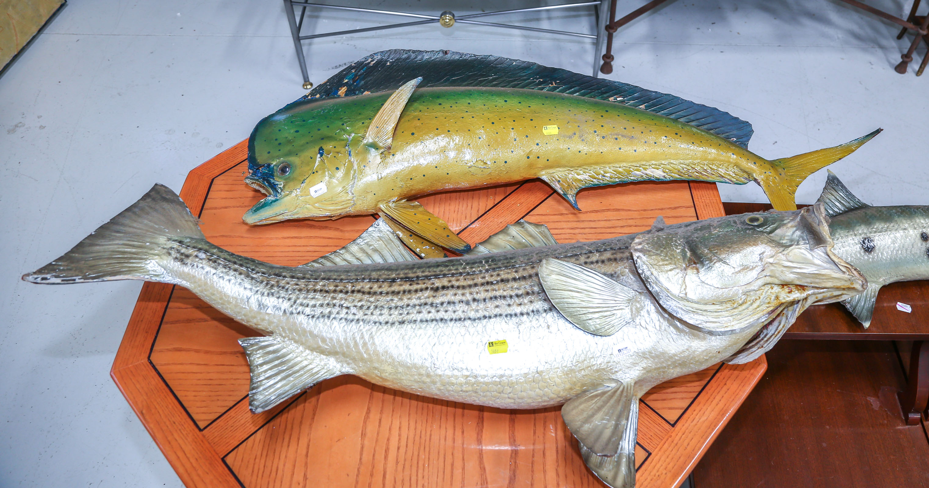 TWO FISH WALL MOUNTS Including