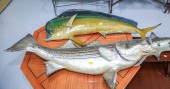 TWO FISH WALL MOUNTS Including