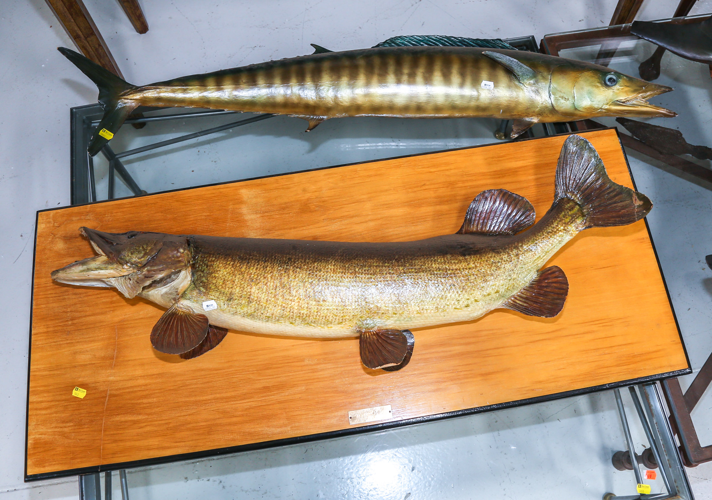 TWO FISH WALL MOUNTS Including