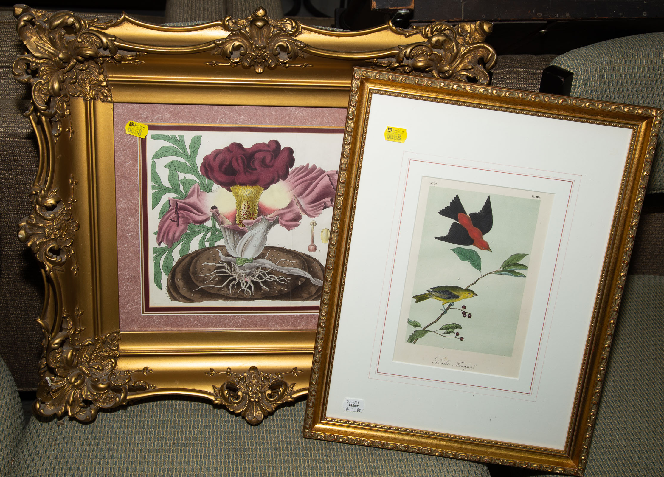 TWO FLORA & FAUNA RELATED PRINTS,