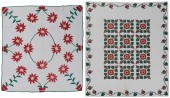 Two Floral Appliqué Quilts Ame