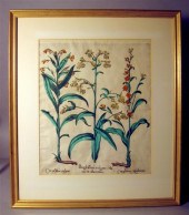 Two folio hand-colored copper