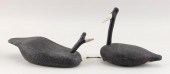 TWO FOLKSY FRESHWATER COOT DEC