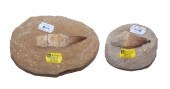 TWO FOSSIL MOSASAUR TEETH IN M