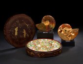 Two Fossilized Ammonite Specim