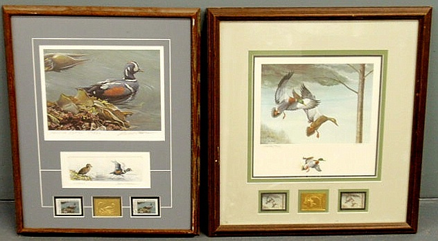 Two framed and matted duck