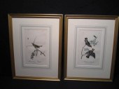 Two framed Audubon hand colore