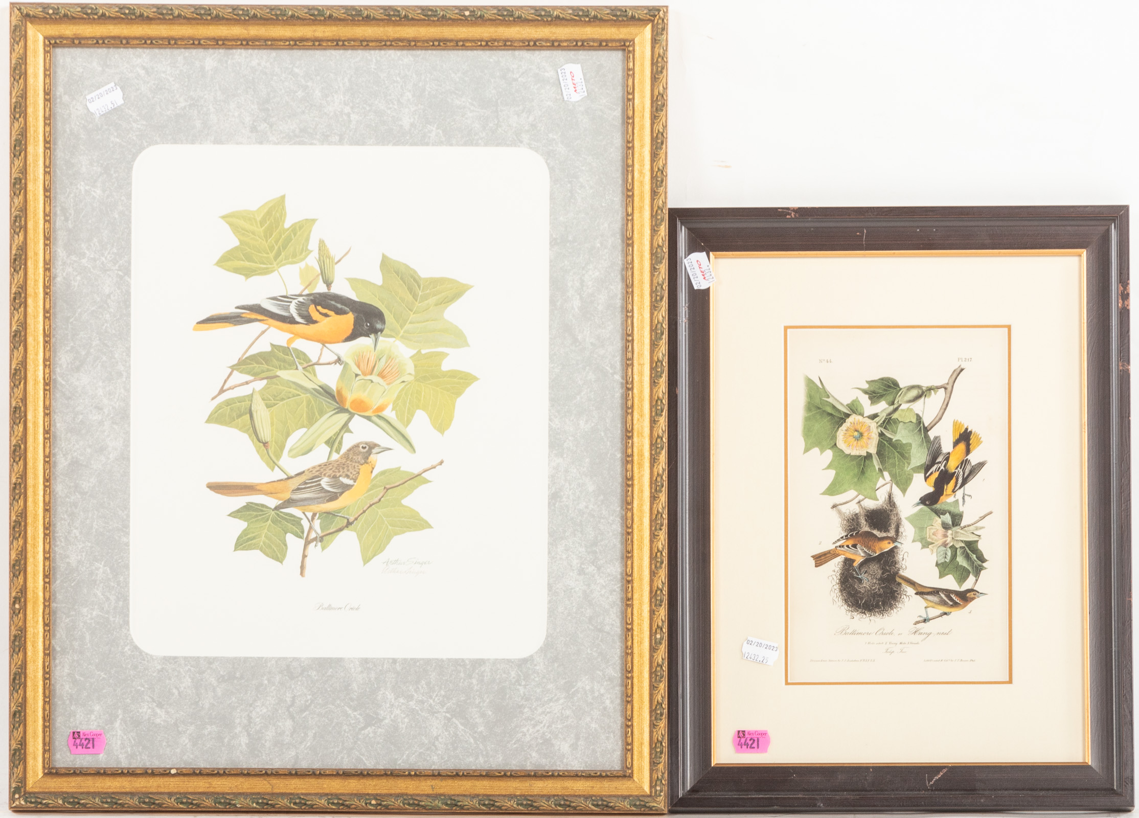 TWO FRAMED BALTIMORE ORIOLE