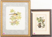 TWO FRAMED BALTIMORE ORIOLE TH