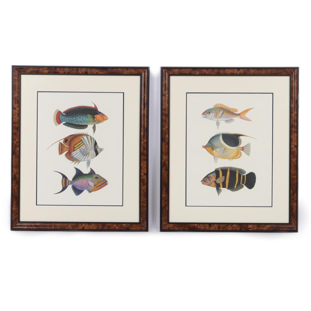 TWO FRAMED CHROMOLITHOGRAPH
