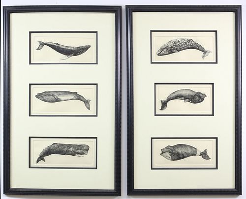TWO FRAMED DAVID LAZARUS LIMITED