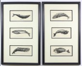 TWO FRAMED DAVID LAZARUS LIMIT