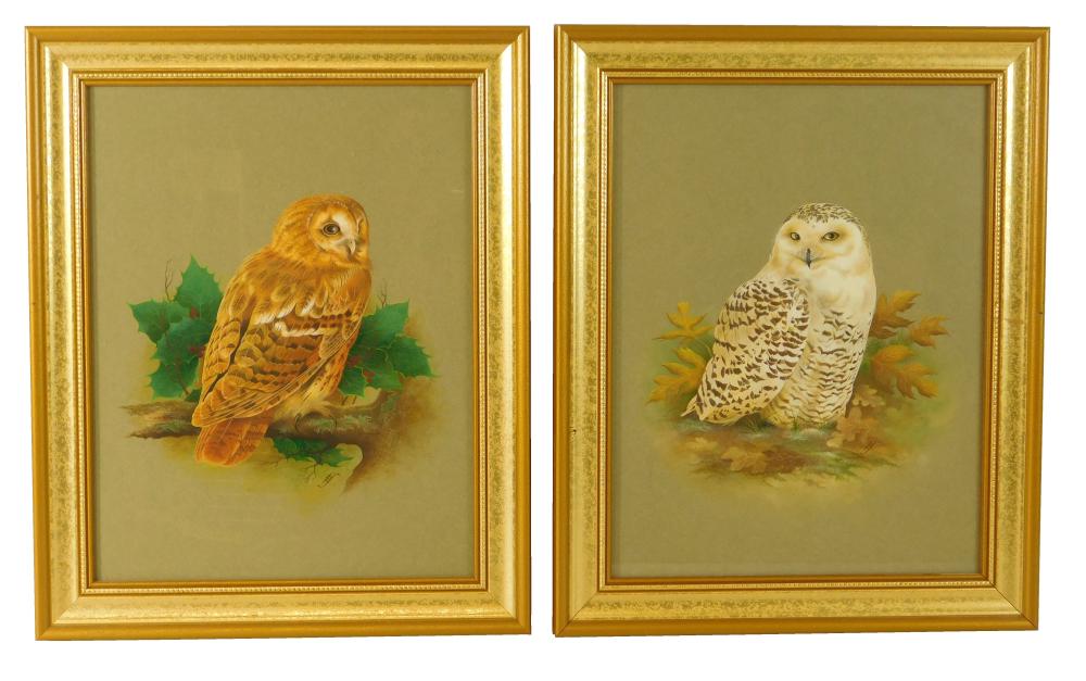 TWO FRAMED OWL STUDIES, GOUACHE