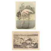 TWO FRAMED PRINTS FEATURING FL