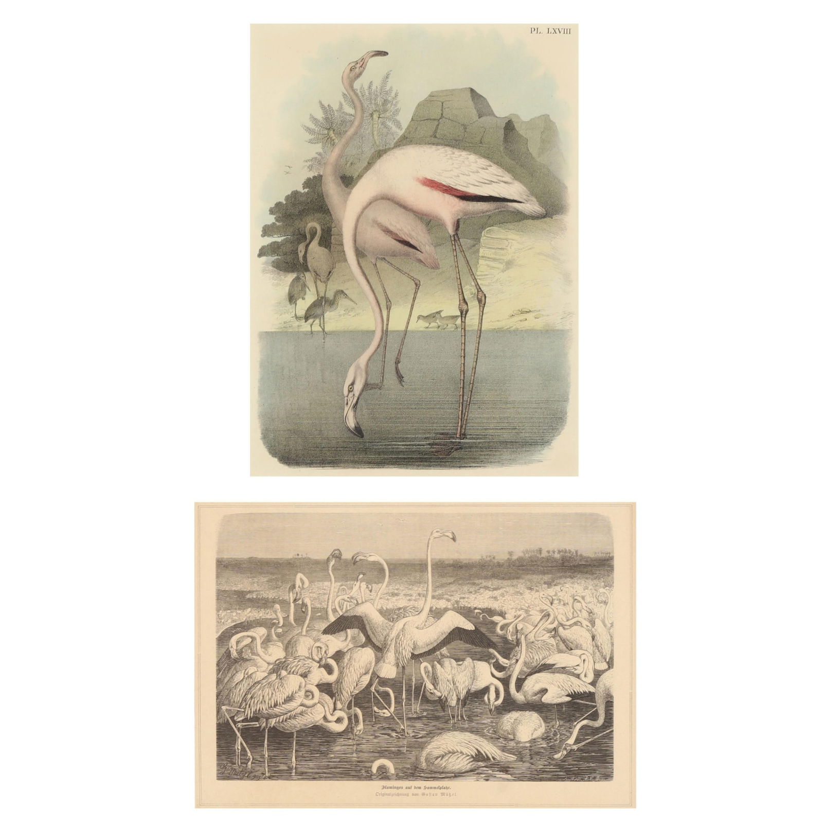 TWO FRAMED PRINTS FEATURING