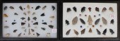 TWO FRAMES OF NATIVE AMERICAN