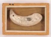 Two frames with 4 shell  Artif