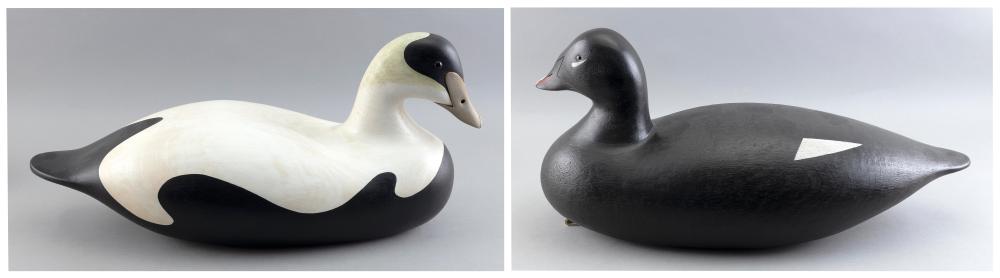 TWO GARY AVADANIAN SEA DUCK