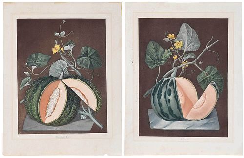 TWO GEORGE BROOKSHAW AQUATINTS OF