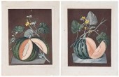 TWO GEORGE BROOKSHAW AQUATINTS