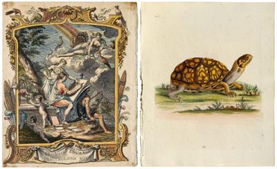 Two George Edwards prints