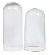 TWO GLASS DOMESTwo Glass Domes