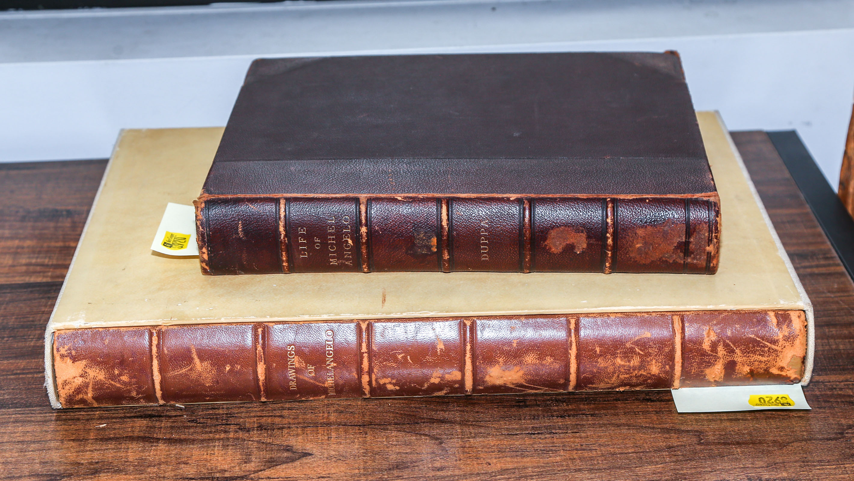 TWO GOOD BOOKS ON MICHELANGELO