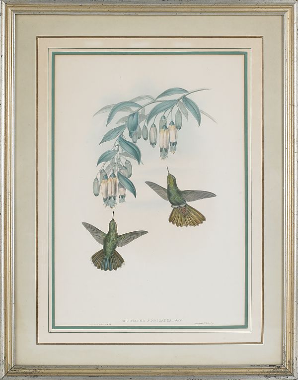 Two Gould and Richter color