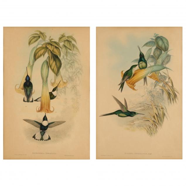 TWO GOULD AND RICHTER HUMMINGBIRD